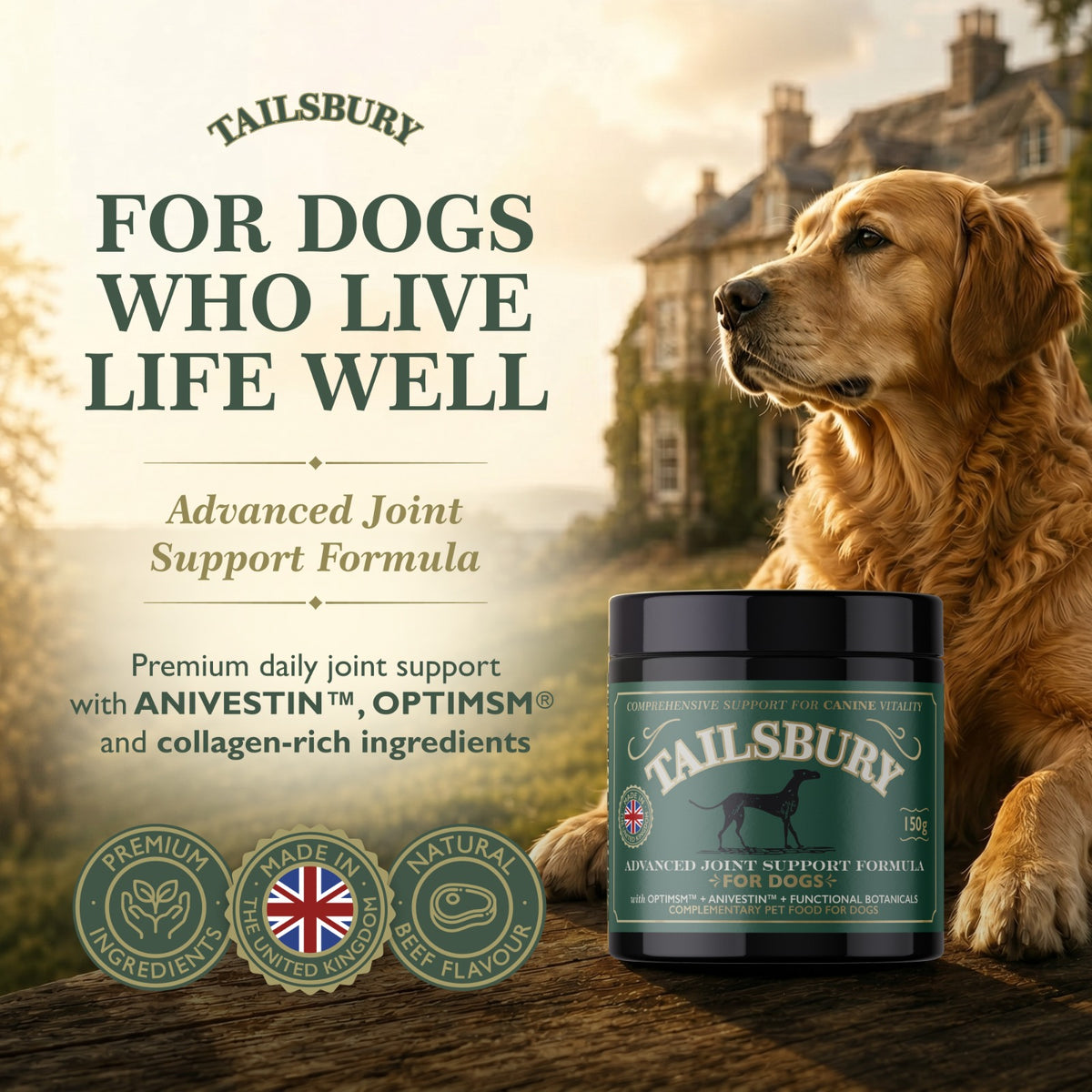 Tailsbury Joint Support