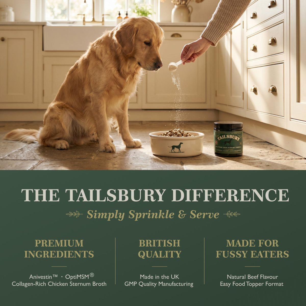 Tailsbury Joint Support