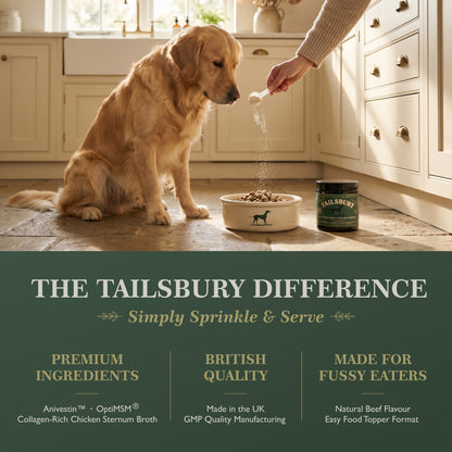 Tailsbury Joint Support